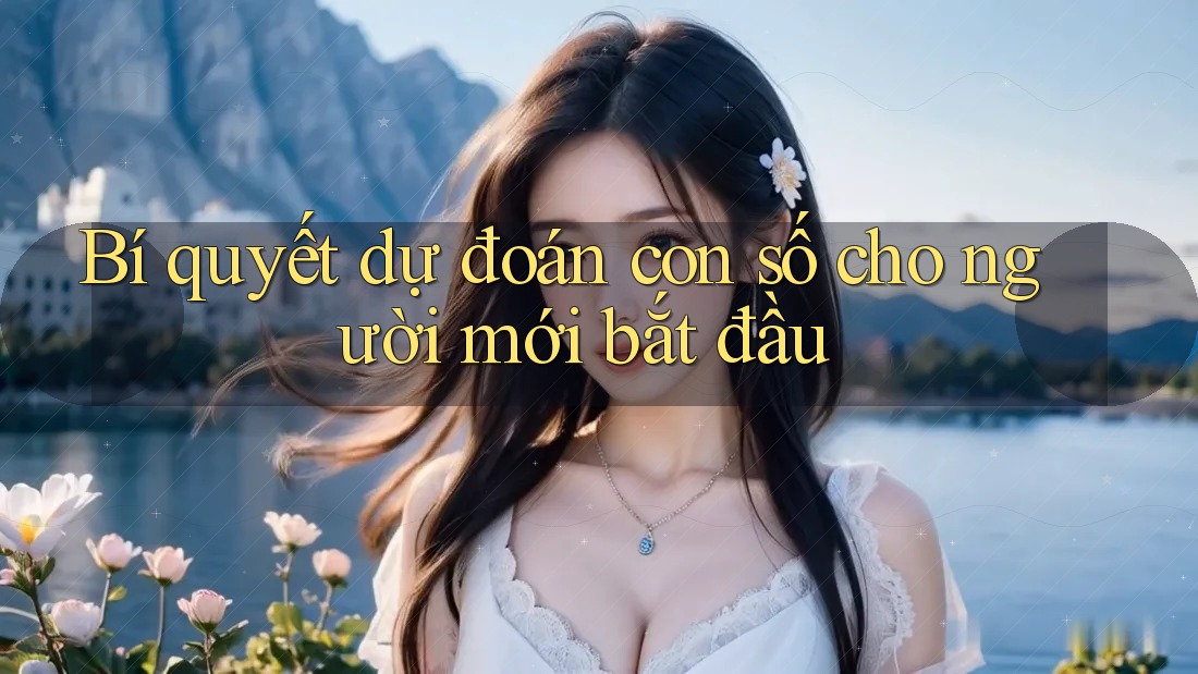 Bí quyết dự đoán con số cho người mới bắt đầu