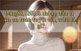 bong88, (2025) tháng đầu tiên an toàn tuyệt đối, wild là gì