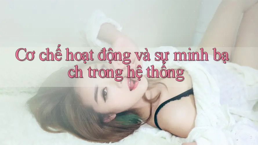 Cơ chế hoạt động và sự minh bạch trong hệ thống
