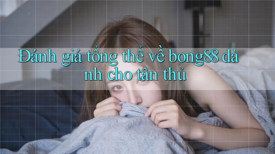 Đánh giá tổng thể về bong88 dành cho tân thủ