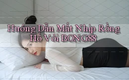 hướng dẫn mất nhịp rồng hổ với bong88