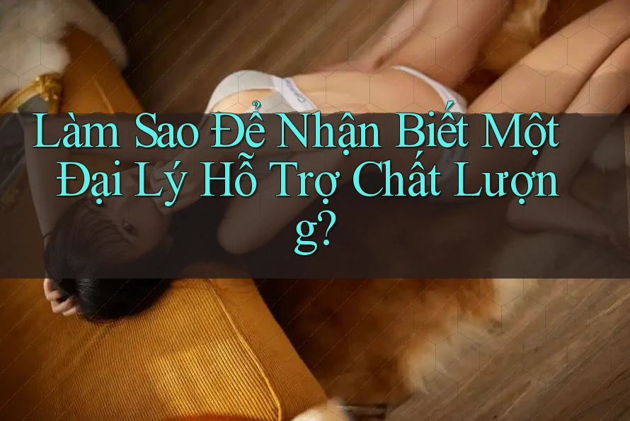 Làm sao để nhận biết một Đại lý hỗ trợ chất lượng? Làm sao để nhận biết một Đại lý hỗ trợ chất lượng?
