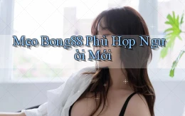 mẹo bong88 phù hợp người mới