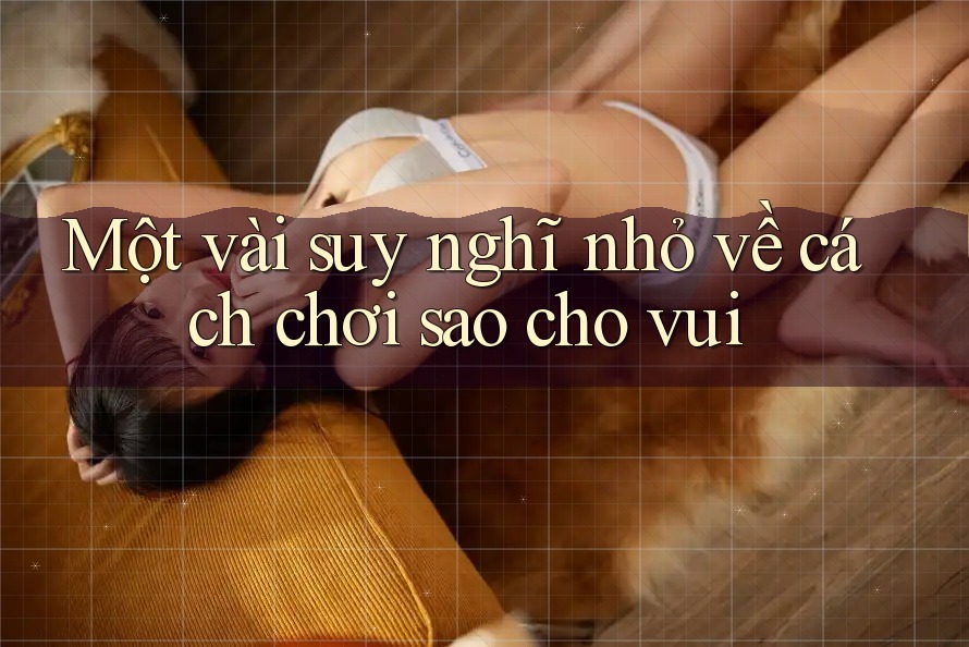 Một vài suy nghĩ nhỏ về cách chơi sao cho vui