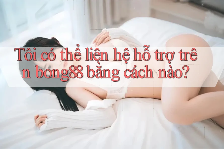 Tôi có thể liên hệ hỗ trợ trên bong88 bằng cách nào? Tôi có thể liên hệ hỗ trợ trên bong88 bằng cách nào?